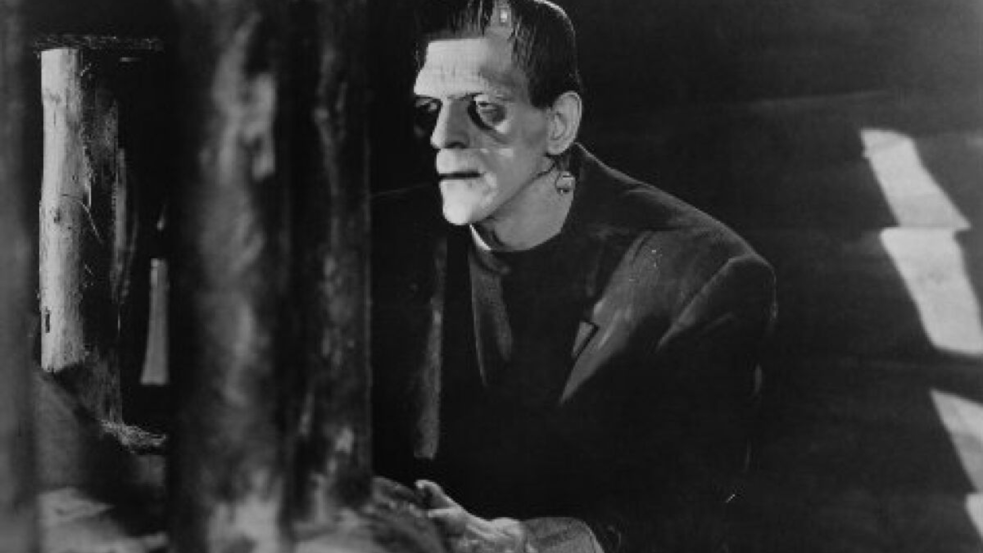 O que Pobres Criaturas e Frankenstein têm em comum?
